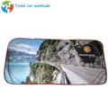 White two circle car tyvek sunshade