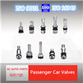 High quanlity GC tubeless metal clamp-in tubeless tire valve TR43E /V-4