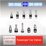High quanlity GC tubeless metal clamp-in tubeless tire valve TR43E /V-4
