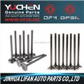 Intake & Exhaust Valve for DFSK