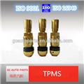 GC tubeless clamp-in pressure sensor TPMS valve