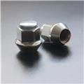 chrome tyre nut auto wheel nut