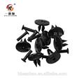 B119 Professionally Auto Plastic Clips