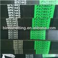 V-ribbed belt 1443/8PK