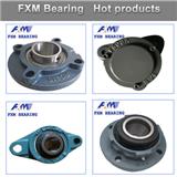 High Quality China OEM Service Chrome Steel Pillow Block Bearing