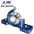 Insert Ball Bearings with Housings Stainless Steel Pillow Block Bearing